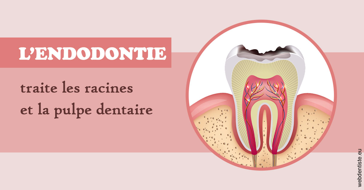 https://dr-daas-marwan.chirurgiens-dentistes.fr/L'endodontie 2